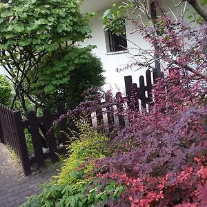 Ground Floor,top Level Appartement